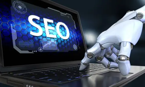 SEO Agency Rank Ray