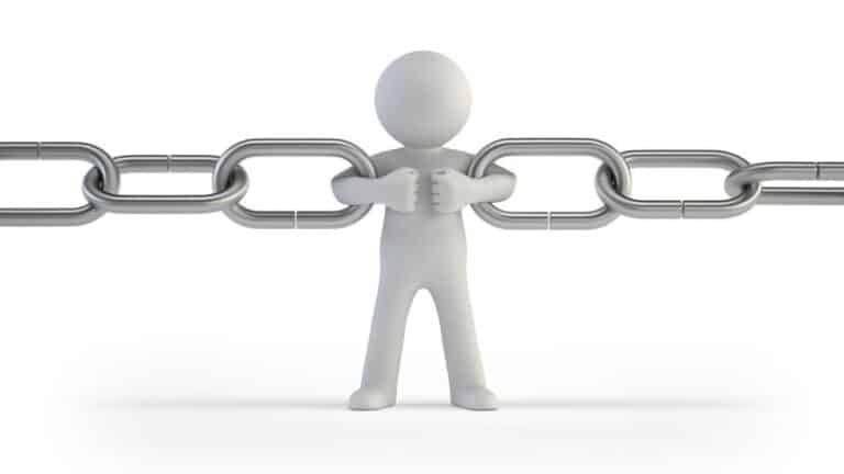 Link building HARO SEO Rank Ray
