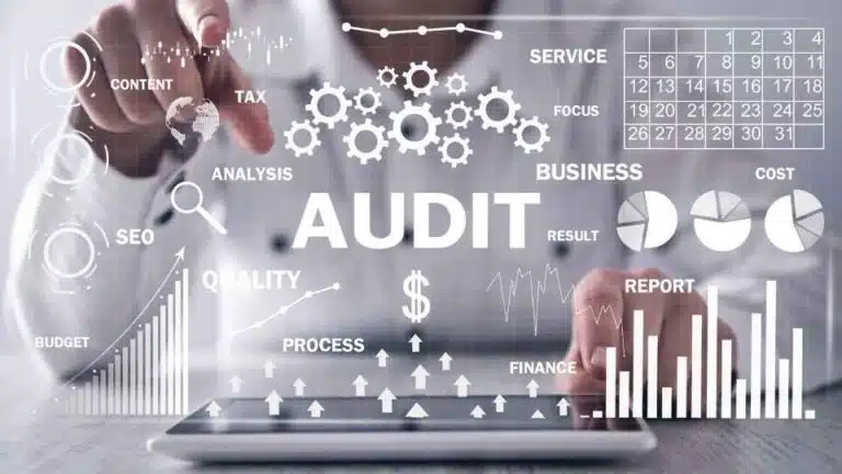SEO Audit Service Rank Ray