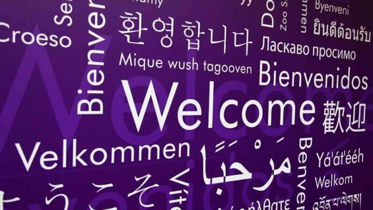 Translation Agency services Rank Ray