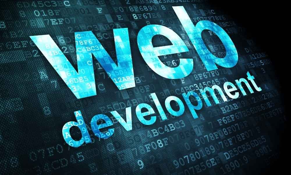 custom web-development-rankray