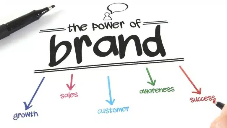 social media brand management service by rank ray