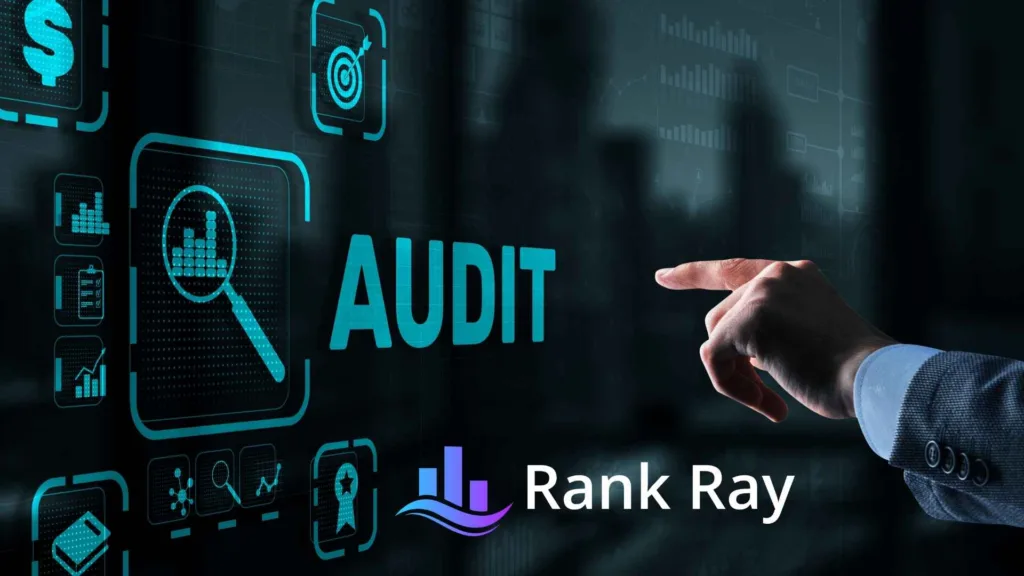 SEO Audit Tool by Rank Ray